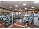 Well-equipped gym with various exercise machines, weights, mirrors, and natural light from large windows at 9933 Milano Dr, Trinity, FL 34655