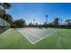 Well-maintained tennis courts offer a pristine playing surface and feature palm trees in the background at 9933 Milano Dr, Trinity, FL 34655