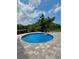 Backyard featuring a pool surrounded by a paver deck at 11055 Belle Haven Dr, New Port Richey, FL 34654