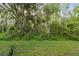 Lush green backyard with mature trees and verdant foliage, creating a serene outdoor space at 1108 Blackwater Dr, Wesley Chapel, FL 33543