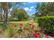 Beautifully landscaped community park with a charming white gazebo and red rose bushes in the foreground at 11389 Mcnally Dr, Spring Hill, FL 34609