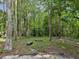 Shady backyard with bench at 11751 Key Lime Dr, New Port Richey, FL 34654