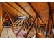 Unfinished attic showing wooden beams, insulation, and structural elements at 13155 Cori Loop, Spring Hill, FL 34609
