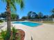 Community pool area featuring lounge chairs, palm trees, and a flower garden at 13155 Cori Loop, Spring Hill, FL 34609