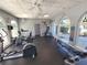Community gym featuring modern exercise equipment and natural light from large windows at 13155 Cori Loop, Spring Hill, FL 34609