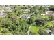 Aerial view showcases a pool home with a spacious lot and lush landscaping at 13460 Pia Ct, Spring Hill, FL 34609