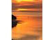 Stunning sunset view over the water, featuring a bird standing in the shallow waters at 1620 Sea Breeze Dr, Tarpon Springs, FL 34689