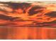Scenic fiery sunset over the calm waters, reflecting vibrant colors across the horizon at 1620 Sea Breeze Dr, Tarpon Springs, FL 34689