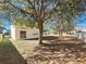 Spacious backyard surrounded by mature trees offering ample space and privacy at 19551 Timberbluff Dr, Land O Lakes, FL 34638