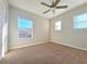 An empty bedroom featuring neutral carpet, and a ceiling fan at 19551 Timberbluff Dr, Land O Lakes, FL 34638