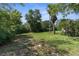 Expansive green backyard with lush grass, mature trees, and natural landscape at 2443 Glenridge Dr, Spring Hill, FL 34609