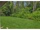 Spacious backyard showcasing green lawn and bordering trees at 4424 Whitetail Ln, New Port Richey, FL 34653