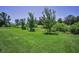 Expansive backyard featuring lush green grass, mature trees, and a scenic view of the surrounding landscape at 4485 Gevalia Dr, Brooksville, FL 34604