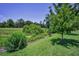 View of the lush green golf course with mature trees and native vegetation at 4485 Gevalia Dr, Brooksville, FL 34604