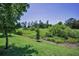 A view of the lush green golf course offers a tranquil setting and scenic views at 4485 Gevalia Dr, Brooksville, FL 34604