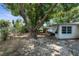 View of the backyard with large tree and foliage at 4520 Blanche St, New Port Richey, FL 34652