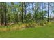 Beautiful backyard with natural landscaping, tall trees and a lush, green lawn at 4960 Hidden Knob Trl, Spring Hill, FL 34609