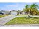 Cozy home featuring a well-maintained front lawn and tropical palm trees, perfect for curb appeal at 6231 Westport Dr, Port Richey, FL 34668