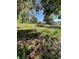 Large backyard with mature trees and ample space for outdoor activities at 8711 Jolly Roger Dr, Hudson, FL 34667