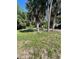 A partially fenced backyard featuring mature palm trees and a lush lawn at 8711 Jolly Roger Dr, Hudson, FL 34667