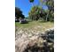 Spacious backyard with a truck parked, ready for outdoor customization at 8711 Jolly Roger Dr, Hudson, FL 34667