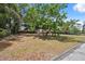 Quaint home featuring a spacious front yard with mature trees offering shade and a charming appeal at 9306 21St, Tampa, FL 33612