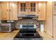 A kitchen featuring wooden cabinets, stainless steel oven, and mosaic tile backsplash at 10267 Elgin Blvd, Spring Hill, FL 34608
