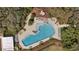Aerial view of a uniquely shaped community pool with in-water lounge chairs and tables surrounded by palm trees at 11398 Juglans Dr, Odessa, FL 33556