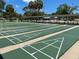 Enjoy a relaxing game of shuffleboard in one of the many outdoor courts on offer to the community at 11619 Boynton Ln, New Port Richey, FL 34654