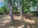 Shady, tree-filled backyard at 12090 Stoneville Ct, Spring Hill, FL 34609