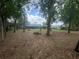 Expansive, tree-filled backyard perfect for outdoor living and entertaining at 12090 Stoneville Ct, Spring Hill, FL 34609