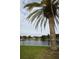 Scenic water view showcasing lush greenery, a palm tree, and the architecture of nearby buildings at 124 Athens St, Tarpon Springs, FL 34689