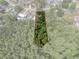 Aerial view of property showcasing mature trees and landscaping at 13923 Pathfinder Dr, Tampa, FL 33625