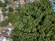Aerial view featuring a tranquil neighborhood with homes surrounded by lush, mature trees at 13923 Pathfinder Dr, Tampa, FL 33625