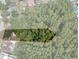 Aerial view showcasing the expansive property nestled between homes, surrounded by lush trees at 13923 Pathfinder Dr, Tampa, FL 33625