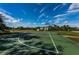 A full-sized outdoor basketball court, complete with a hoop and clear markings, set against a backdrop of lush greenery at 14008 Lugano Ct, Hudson, FL 34669