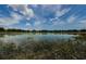Scenic view of a pond with lush greenery and clear reflections on a sunny day at 14008 Lugano Ct, Hudson, FL 34669