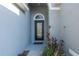 Front doorway showing glass paned door and dark mat. Planter with tropical plants at 15159 Durango Cir, Brooksville, FL 34604