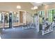 Community fitness center featuring modern exercise equipment at 16697 Courtyard Loop, Land O Lakes, FL 34638