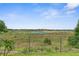 Peaceful backyard view of a serene lake and natural wetlands, offering a tranquil escape at 2585 Waterfall Dr, Spring Hill, FL 34608