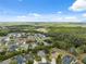 Scenic aerial view showcasing lush greenery, a lake, and charming homes in a peaceful neighborhood at 3243 Stonegate Falls Dr, Land O Lakes, FL 34638