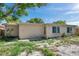 Back view of a stucco one-story house with overgrown yard at 4025 Stratfield Dr, New Port Richey, FL 34652