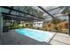 Beautiful backyard pool with screened-in enclosure, patio, and green landscaping at 5309 Bayonne Ave, Spring Hill, FL 34608