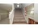 Carpeted staircase leading upwards, connecting the different levels of the home at 6234 Cyril Dr, Dade City, FL 33523