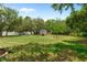 A wide shot of the backyard showing mature trees and storage shed at 8382 Christopher Ln, Weeki Wachee, FL 34613