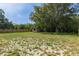 Grassy backyard featuring a shed and lush trees, offering plenty of room for outdoor activities at 8402 Lake Hill Ct, Spring Hill, FL 34608