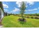 Expansive backyard with lush green grass and a young tree at 8431 Ocean Tides Cv, Parrish, FL 34219