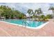 Large swimming pool surrounded by lounge chairs and tropical palm trees, perfect for relaxation and recreation at 9334 Whitstone Ct, New Port Richey, FL 34655
