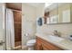 Bathroom features a tiled walk-in shower, wood vanity with a quartz countertop, and modern fixtures at 10301 Nina Ct, New Port Richey, FL 34654