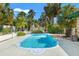 Refreshing swimming pool with clear water, surrounded by palm trees, and a concrete patio at 1115 Pennsylvania Ave, Palm Harbor, FL 34683